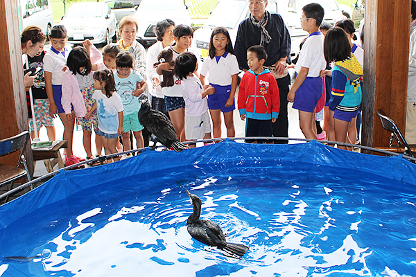 サンプルメージ