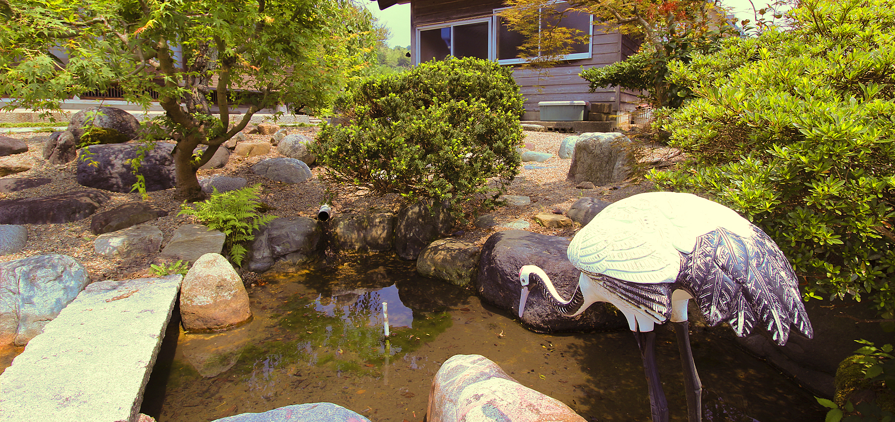 トップイメージ02